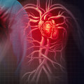 Cardiovascular Diseases and Erectile Dysfunction: Understanding the Connection